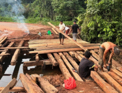 Andalkan Swadaya dan CSR Perusahaan, Warga Marau Kompak Perbaiki Jembatan Sungai Sarang