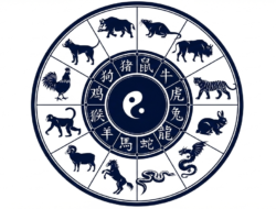 Urutan 12 Jenis Shio dan Karakteristik Sifatnya Menurut Astrologi