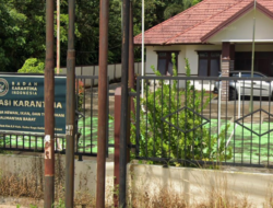 Darurat! Kucing Liar hingga 700 Burung Jadi Target Penyelundupan, Balai Karantina Akui Sulit Lacak Sindikat