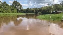 Tampak aliran air di Sungai Retok, Kabupaten Kubu Raya, yang mengalami kekeruhan pekat dan dikeluhkan warga setempat karena tidak layak pakai.