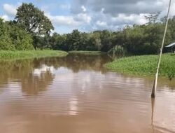 Diduga Terdampak PETI dan Limbah Sawit, Air Sungai Retok yang Keruh Dikeluhkan Warga