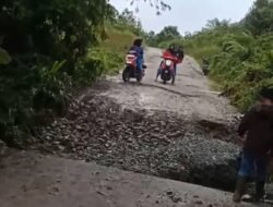 Nyaris Putus Digerus Longsor, Akses Jalan Poros Dedai di Sintang Bahayakan Pengendara
