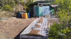 "KPK temukan tambang emas ilegal di penyangga TN Komodo. Diduga dibekingi pejabat, limbah merkuri ancam habitat Komodo dan wisata Labuan Bajo."