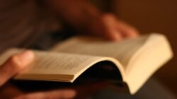 "Butuh teman baca buku? Cek 6 lagu indie pilihan ini. Mulai dari Banda Neira hingga Bon Iver, siap bangun suasana syahdu tanpa ganggu fokus membaca kamu."