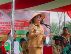 Kokohkan Status Lumbung Pangan Kalbar, HKTI Landak Luncurkan Pilot Project Kedelai dan Ubi Kayu