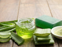 5 Manfaat Lidah Buaya untuk Kesehatan dan Kecantikan