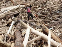 Polemik Izin Penebangan Hutan di Tapsel: Bupati Kaget Akses Dibuka, Kemenhut Bilang Itu Tidak Benar