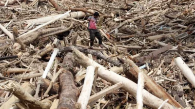 lustrasi kondisi pasca banjir di wilayah Sumatera Utara. Bupati Tapanuli Selatan dan Kemenhut silang pendapat mengenai status izin penebangan hutan pasca bencana banjir bandang, Selasa (2/12/2025).
