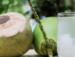 Isotonik Alami Terbaik, Ini 7 Manfaat Air Kelapa Muda untuk Tubuh dan Kulit