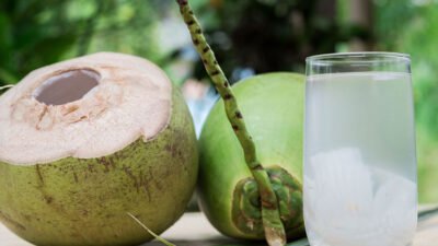 "Bukan sekadar pelepas dahaga, air kelapa muda mengandung elektrolit yang lebih baik dari minuman kemasan. Simak manfaatnya untuk ginjal hingga kulit glowing."