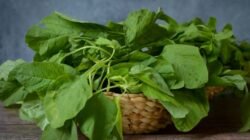 "Sering dianggap sayuran biasa, ternyata manfaat bayam luar biasa untuk mata, tulang, hingga kulit. Simak kandungan nutrisi lengkapnya di sini."