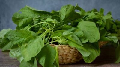 "Sering dianggap sayuran biasa, ternyata manfaat bayam luar biasa untuk mata, tulang, hingga kulit. Simak kandungan nutrisi lengkapnya di sini."