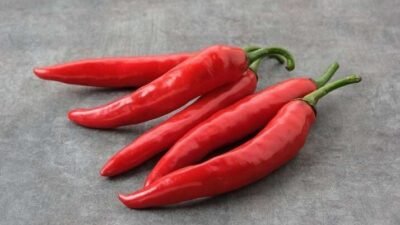 "Tak hanya bikin pedas, cabai simpan khasiat hebat. Simak 5 manfaat cabai untuk diet, imunitas, hingga pereda nyeri alami di sini."