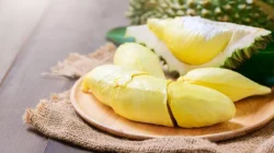 "Dikenal sebagai Raja Buah, durian ternyata menyimpan segudang nutrisi. Simak 5 manfaat durian, mulai dari atasi insomnia, sumber energi, hingga cegah penuaan dini."