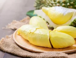 Jangan Hanya Lihat Durinya, Ini 5 Manfaat Ajaib Durian bagi Kesehatan yang Jarang Diketahui