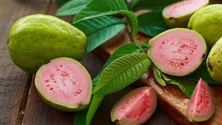 "Selain untuk DBD, jambu biji kaya Vitamin C. Simak 5 manfaat jambu biji untuk imunitas, pencernaan, hingga kesehatan mata di sini."