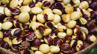 "Sering dihindari karena baunya, ternyata jengkol menyimpan segudang nutrisi. Simak 5 manfaat jengkol mulai dari mencegah diabetes hingga anemia di sini."