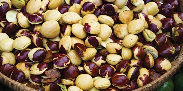 "Sering dihindari karena baunya, ternyata jengkol menyimpan segudang nutrisi. Simak 5 manfaat jengkol mulai dari mencegah diabetes hingga anemia di sini."