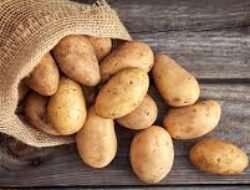 Sering Dimusuhi Saat Diet, Ini 5 Manfaat Kentang yang Tak Terduga bagi Tubuh