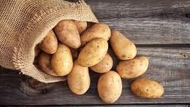 "Sering dianggap bikin gemuk, ternyata kentang adalah sumber karbohidrat kompleks yang sehat. Simak manfaat kentang untuk jantung, pencernaan, hingga kulit."