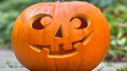 "Dikenal seram saat Halloween, labu kuning ternyata menyimpan segudang manfaat. Simak 5 khasiat labu halloween untuk mata, kulit, hingga diet di sini."