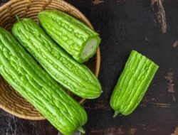 Jangan Musuhi Pahitnya, Ini 5 Alasan Mengapa Tubuh Anda Akan Berterima Kasih Jika Rajin Makan Pare