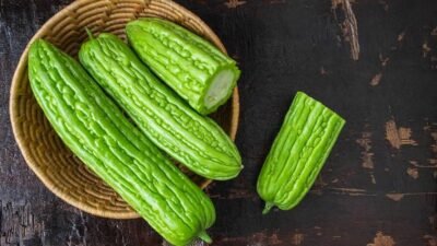 "Jangan takut rasa pahitnya. Temukan 5 manfaat pare yang luar biasa bagi tubuh, mulai dari turunkan gula darah, kolesterol, hingga bikin kulit awet muda."