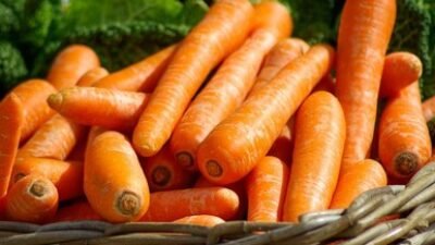 "Wortel sering identik dengan mata sehat. Namun, tahukah Anda manfaat wortel untuk kulit glowing dan menurunkan kolesterol? Simak fakta nutrisinya di sini."