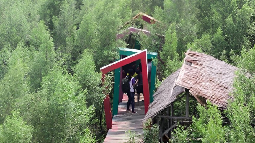 Mempawah Mangrove Park. (Dok. Ist)