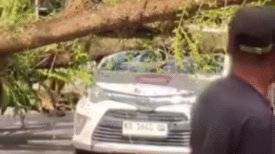 Kondisi mobil taksi online yang ringsek parah pada bagian atap akibat tertimpa pohon besar yang tumbang di Jalan WR Supratman, depan kampus IAIN Pontianak, Jumat (6/12).