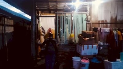 "Mabuk dan bawa senjata laras panjang, oknum polisi di Sikka aniaya warga sipil. Pelaku pukul korban pakai popor senjata, kini ditahan Propam."