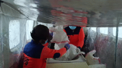 Operasi Modifikasi Cuaca (OMC) membantu menekan curah hujan di wilayah terdampak banjir–longsor Sumatera Utara, Selasa (16/12). Sumber BNPB