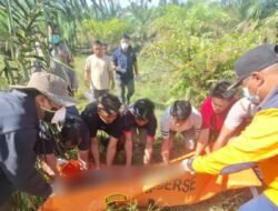 Sempat Hilang 4 Hari, Lansia di Sekadau Ditemukan Tak Bernyawa di Kebun Sawit: Polisi Pastikan Murni Musibah