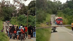 Sepeda motor pedagang pakaian keliling tergeletak usai menabrak pohon tumbang di Jalan Lintas Sintang-Putusibau, Desa Ransi. (Dok. Ist)