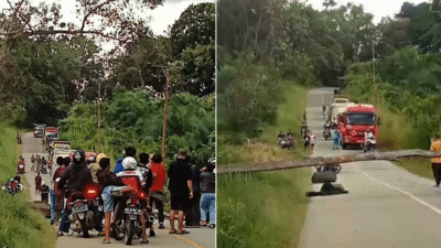 Sepeda motor pedagang pakaian keliling tergeletak usai menabrak pohon tumbang di Jalan Lintas Sintang-Putusibau, Desa Ransi. (Dok. Ist)