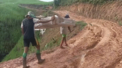 Warga Dusun Senutul bahu-membahu memikul papan tulis digital bantuan pemerintah menyusuri jalan setapak selama 4 jam menuju SDN 15 Senutul. (Dok. Agus Alfian)