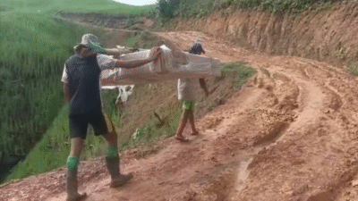 Ironi di Batas Negeri: Papan Tulis Digital ‘Dipanggul’ 4 Jam Tembus Hutan Demi Siswa Senutul