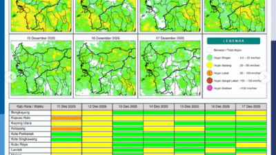 Grafik peta potensi hujan harian BMKG yang menunjukkan sebaran wilayah di Kalimantan Barat yang berpotensi mengalami hujan ringan, sedang, hingga lebat pada Kamis (11/12/2025).