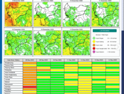 Prakiraan Cuaca Kalbar Senin 8 Desember: Mayoritas Wilayah Diprediksi Hujan Ringan hingga Deras