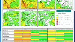 Prakiraan Cuaca Kalbar Hari Ini: Hujan Deras Diprediksi Guyur Kalbar dari Siang hingga Dini Hari