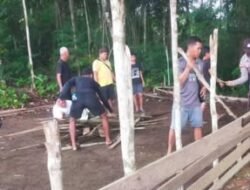 Berdalih Cari Dana Tahun Baru, Arena Sabung Ayam di Semitau Dibakar Polisi