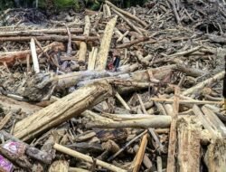 Polisi Temukan Bekas Gergaji di Kayu Banjir Sumatra: Pidana Menanti
