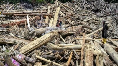 "Kapolri ungkap temuan bekas gergaji pada kayu gelondongan banjir Sumatra. Polisi dan Kemenhut telusuri hulu sungai, bidik jerat pidana bagi pelaku penebangan."