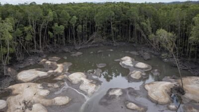 "Presiden Prabowo Subianto terima laporan oknum TNI/Polri terlibat perlindungan penyelundupan timah di Bangka. Simak arahan tegas Presiden di Sidang Kabinet."