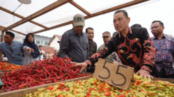 Gubernur Ria Norsan mengenakan kemeja batik motif burung enggang sedang memegang cabai rawit di lapak pedagang pasar tradisional didampingi pejabat daerah. (Dok. HO/Faktakalbar.id)