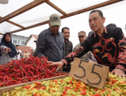 Stok Aman Jelang Nataru, Ria Norsan Soroti Kenaikan Harga Cabai dan Bawang di Sintang