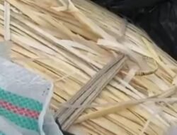 Diduga 16 Kontainer Berisi Rotan Diselundupkan ke China Melalui Pelabuhan Dwikora Pontianak