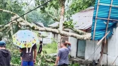 Kondisi rumah milik seorang lansia di Desa Pangkalan Batu, Kendawangan, yang mengalami kerusakan pada bagian atap akibat tertimpa pohon besar saat hujan deras disertai angin kencang, Kamis (18/12/2025).
