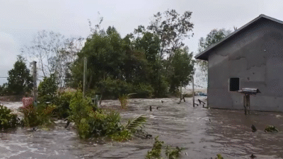 Kondisi rumah warga dan bangunan sekolah di Desa Kuala Karang yang rusak dihantam gelombang pasang dan banjir rob di Teluk Pakedai. (Dok. HO/Faktakalbar.id)