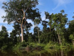 Direktur Utama Perumda Tirta Khatulistiwa Ungkap Tantangan Air Baku: Gambut hingga Intrusi Air Laut